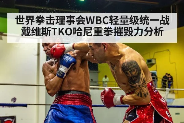 boxing knockout punch